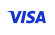 Pay with Visa card